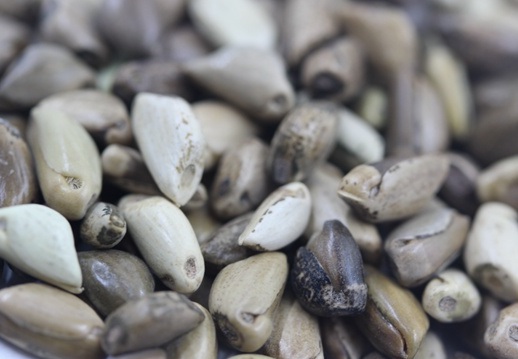 1627522698967432.jpg image.jpg