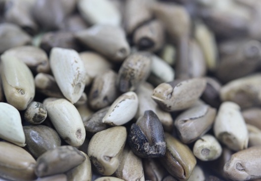 1627523458840781.jpg image.jpg