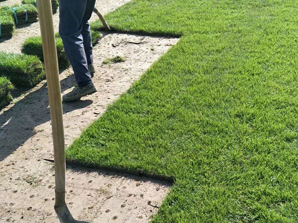 1627699442622237.jpg image.jpg