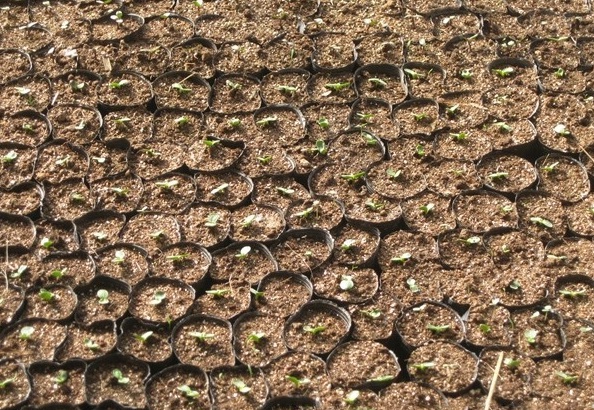 1627991994184555.jpg image.jpg