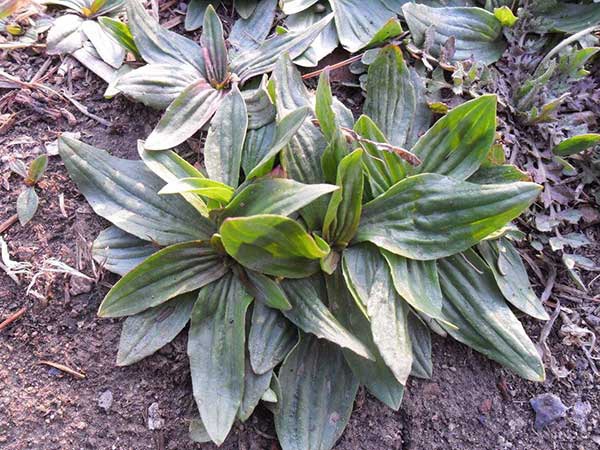 1628059292205031.jpg image.jpg