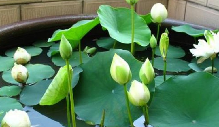 萬(wàn)聯(lián)1.jpg