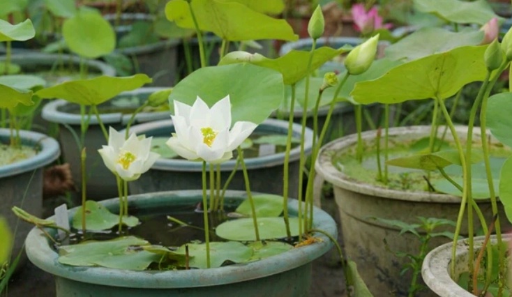 萬(wàn)聯(lián)3.jpg