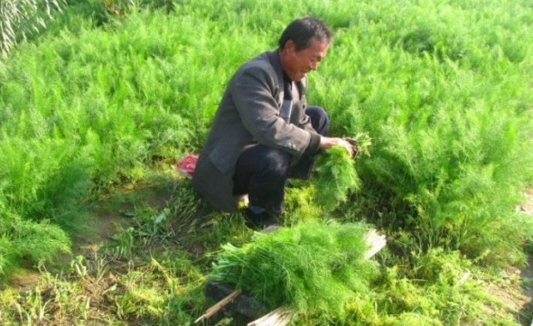 1629100683604649.jpg 1629100680(1).jpg