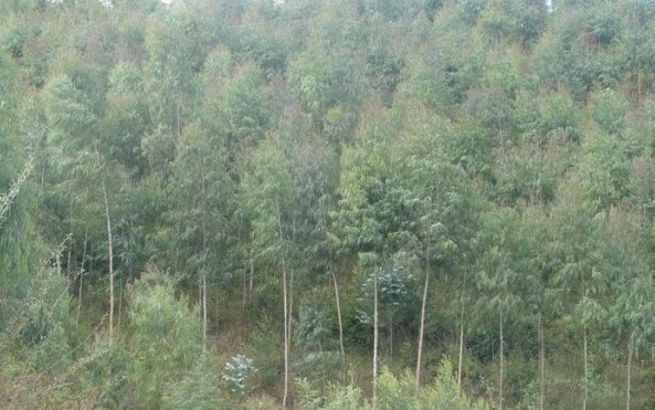 1629242782142556.jpg M4CSM2E3{KMF14P}_TN3{UU.jpg