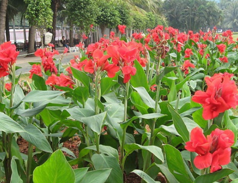 1629551783473330.jpg image.jpg