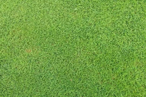 1629616664275250.jpg 6CZ(W_LQJWOC[Z[5(T7$3{U.jpg