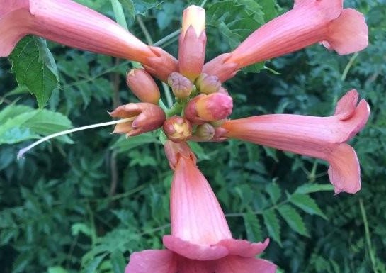 1630135095262559.jpg 3(N1W(D}`9NEWYPC8G@BH$Q.jpg