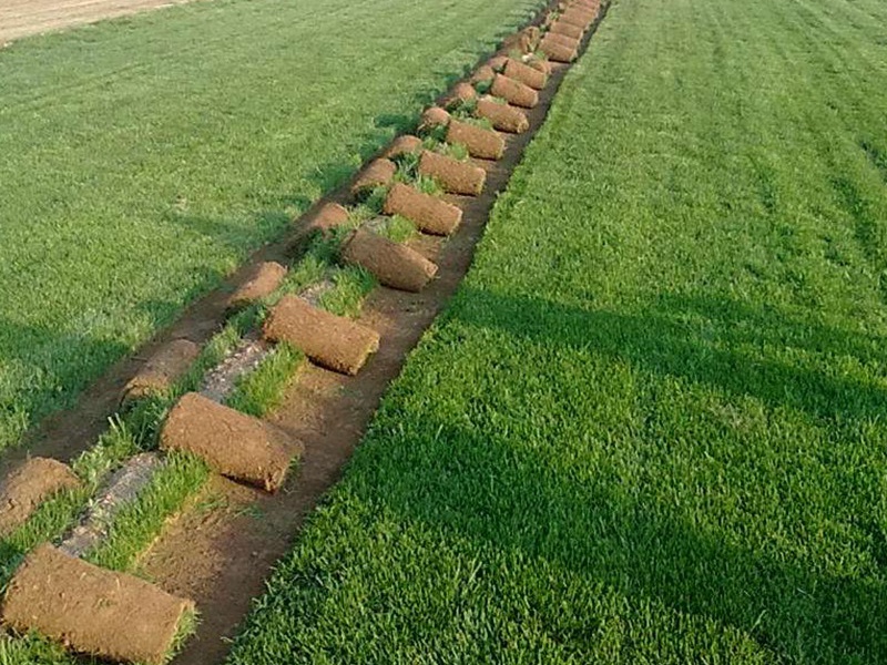 1632668083279926.jpg 00acd9375e543abb9d4e5fba38618cc8_1591075766198893.jpg