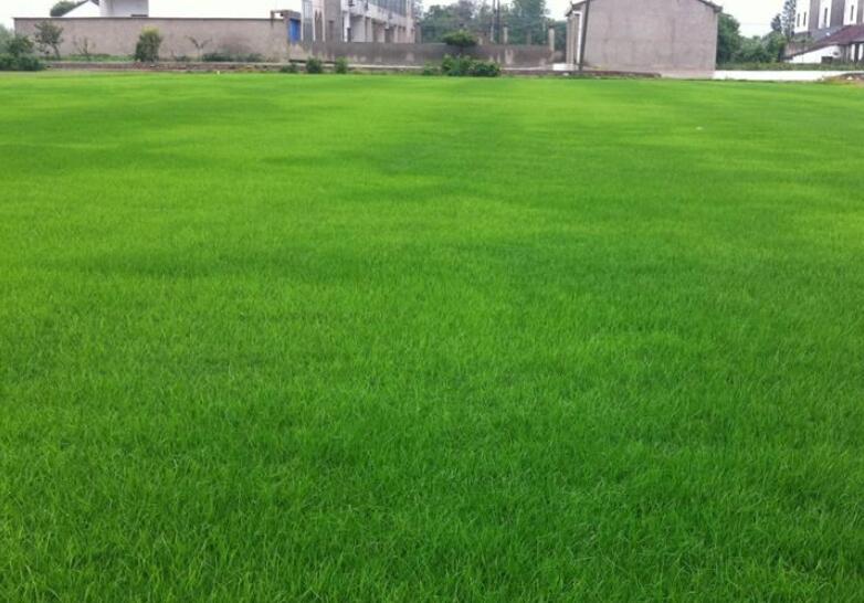 1640414010329431.jpg 1640414010329431.jpg