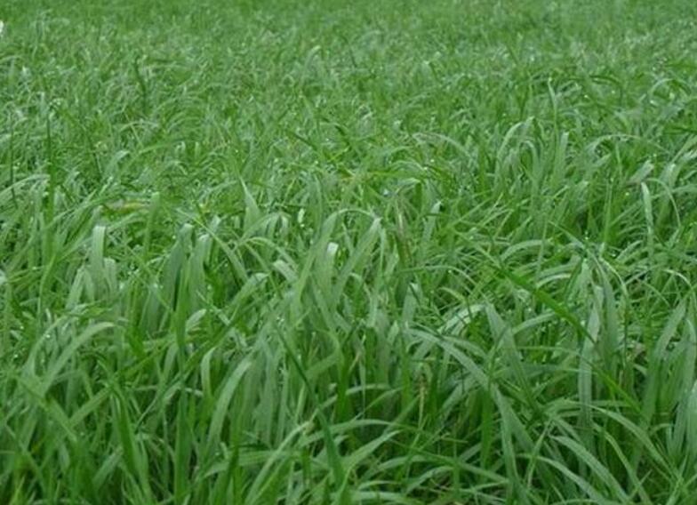 1646398182132039.jpg 2.jpg